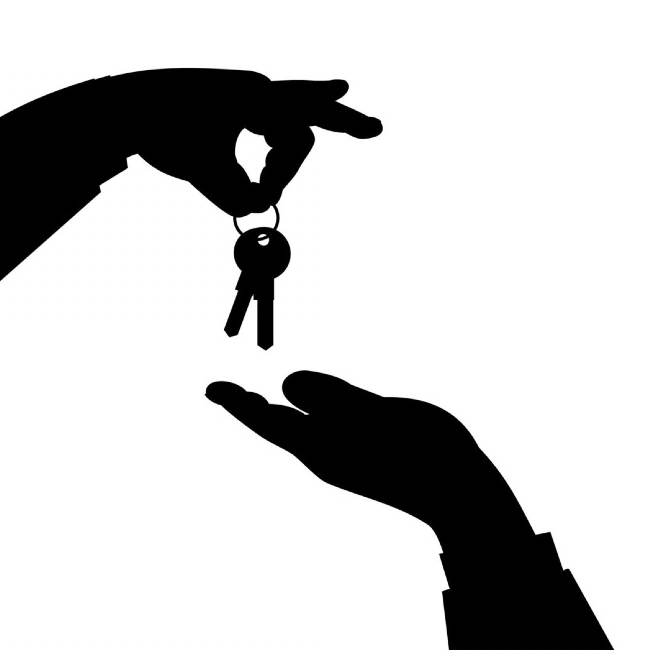 Medidas urgentes en materia de vivienda y alquiler. Real Decreto-ley 21/2018. BOE Nº 304
