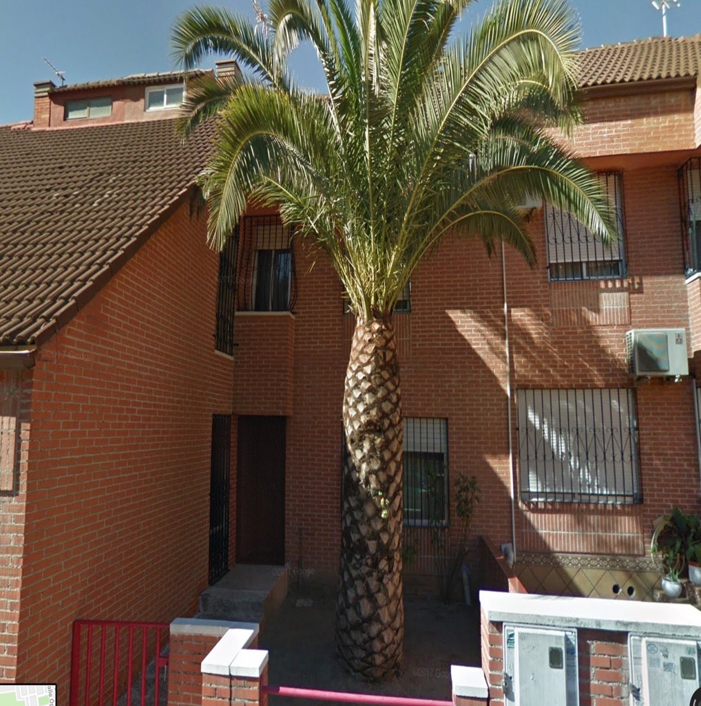 Alonso Musarra 21 S3 Getafe